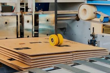 915b2553-2382-452d-9d2e-c8393a078ec7