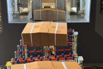 b22bafb3-40bf-4979-a486-13db77619887